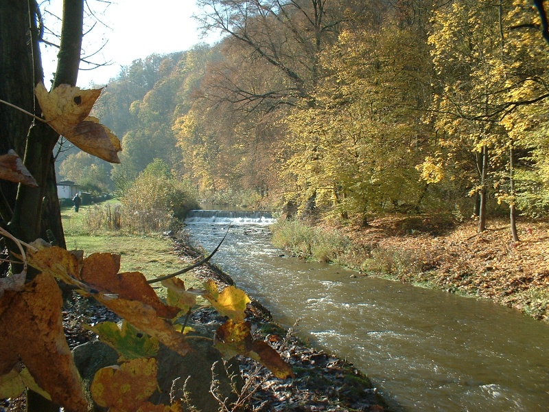 Datei:Rabenauer Grund.JPG